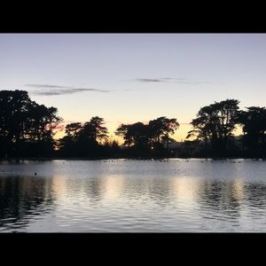 Meet your Posher, Peter